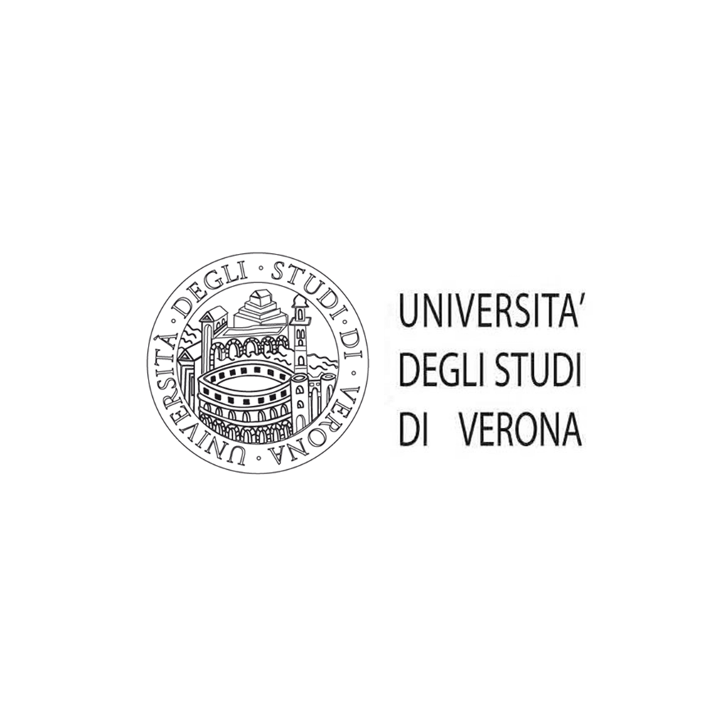 JOINT PROJECT with UNIVERSITY of VERONA